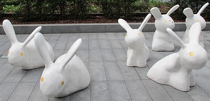 bunnies (2)